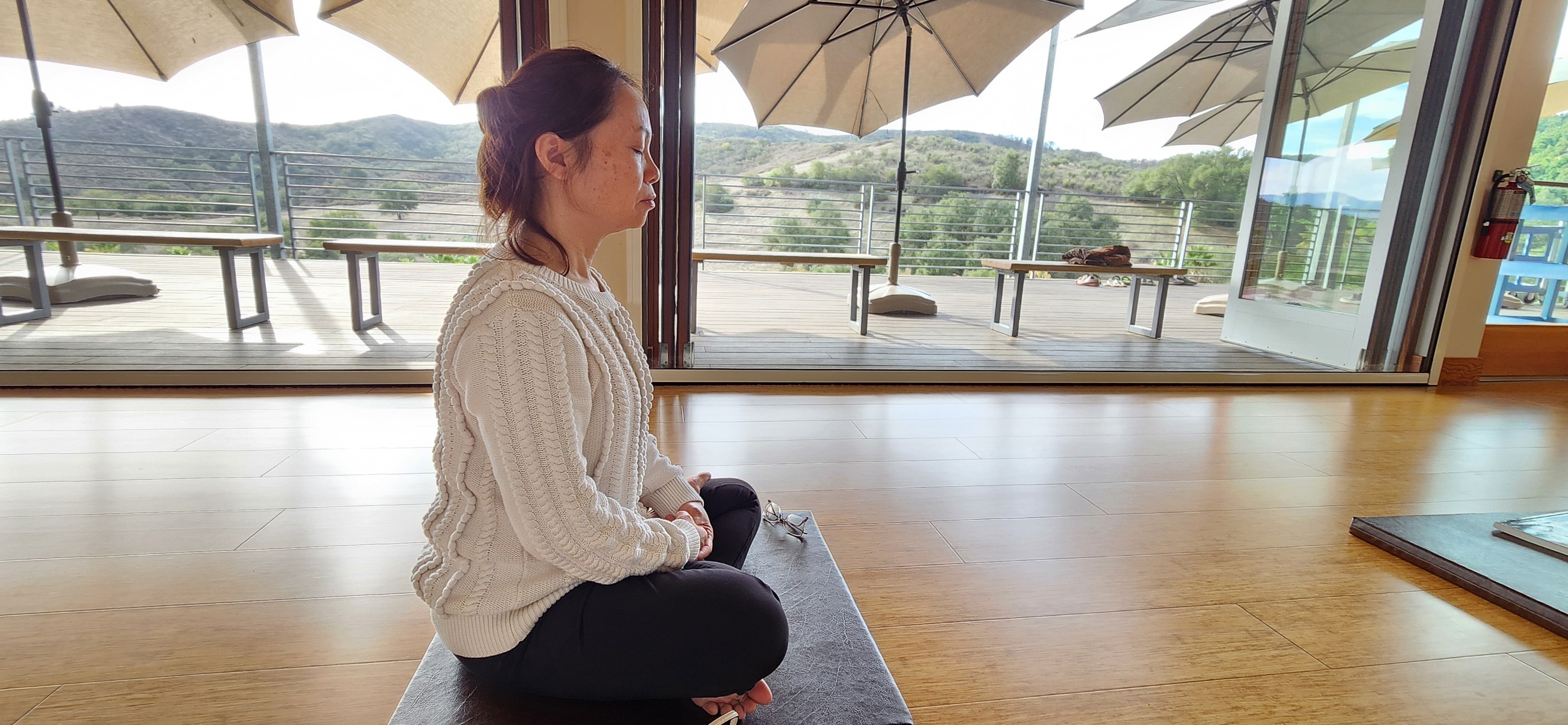 Thiền Quán Niệm Hơi Thở 3