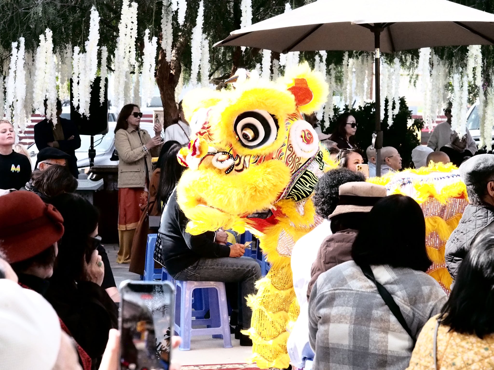 Múa Lân Sôi Động